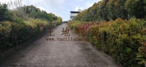 澄迈福山20亩空地转让