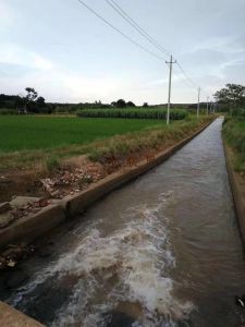 海南省海口市龙华区100亩旱地出租