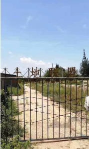 昌江昌化镇120亩莲雾园转让