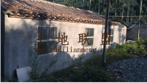 陵水本号130亩槟榔园转让