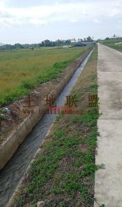 陵水400亩耕地出租