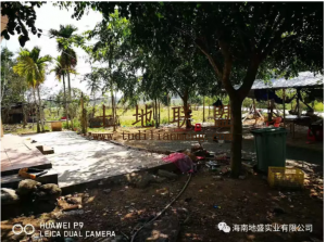 陵水300亩种植地出租