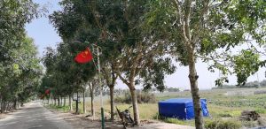 琼海242亩林地转让