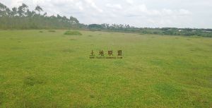 三门坡600亩种植地出租