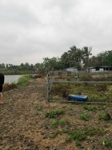 琼山区红旗镇40亩园地转让