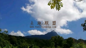 五指山300亩旅游用地转让