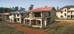 海口琼山区150亩百香果园转让