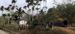 陵水香水湾230亩园地转让