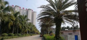 琼海博鳌72亩出让地转让