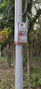 琼海东升农场6亩农用地转让