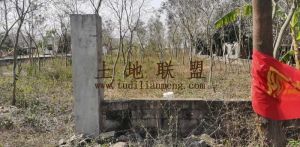 东方板桥2亩宅基地