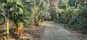 琼海10亩农庄转让