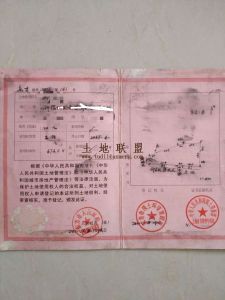 东方八 所镇674平米城镇住宅地转让