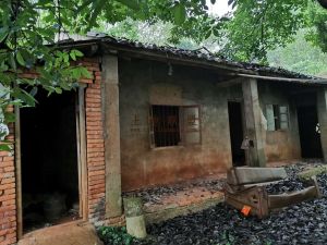 澄迈红光农场62亩红土地出租 