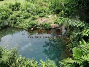 定安10亩自留地转让