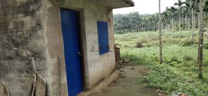 琼海东红农场10亩槟榔园转让