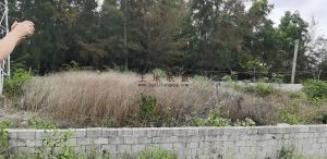 陵水国道边400平米宅基转让