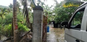 陵水本号140亩槟榔园转让