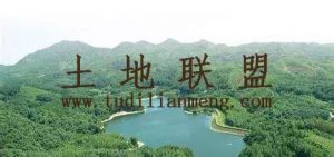 澄迈加乐2000亩林地转让