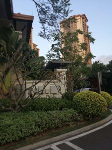 陵水300平米别墅转让