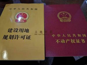 陵水提蒙309平米划拨地转让