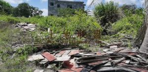 陵水椰林镇350平米宅基地转让