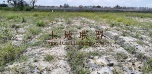 陵水50亩种植地出租