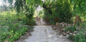 陵水300平米宅基地转让