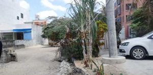 陵水300平米国有地转让