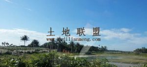 琼海博鳌30亩农用设施地转让