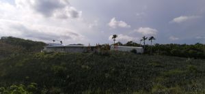 陵水本号1000亩耕地出租