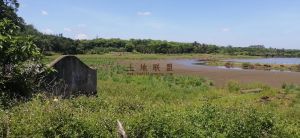 海口琼山区200亩鱼塘转让