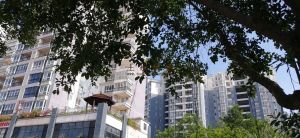 定安5231平米商业用地转让