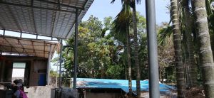 琼海谭门400平米宅基地转让