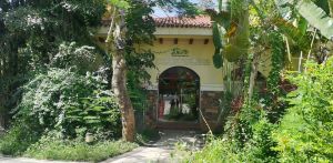 五指山67亩林地转让