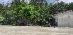 海口石山镇2亩宅基地转让