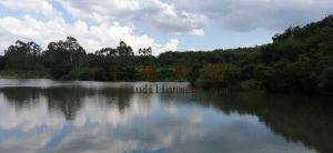 澄迈70亩农用地出租