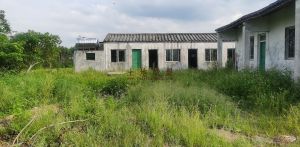 澄迈600亩耕地出租