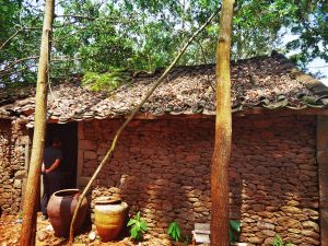 澄迈福山78亩村集体建设用地转让