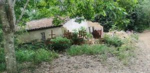 澄迈中兴镇600亩耕地转让