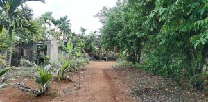 文昌400亩旅游用地转让