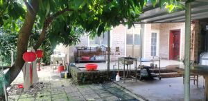 澄迈120亩果园转让