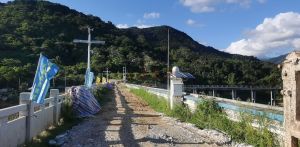 陵水新村5000亩林地转让