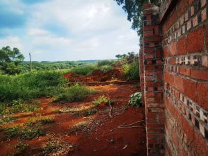 定安4亩园地转让