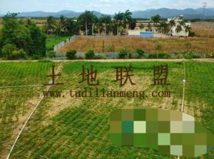 三亚崖州25亩庄园转让