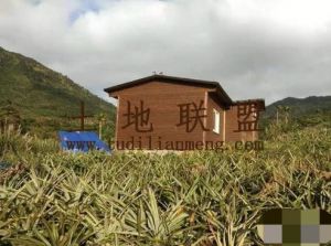 万宁49亩园地转让