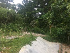 海口美兰区25亩一线海景园地转让