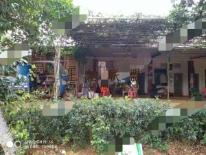 海南定安县45亩果园转让