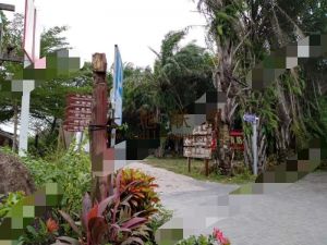 琼海市5亩果园转包