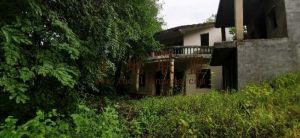 三亚吉阳区110亩果园转让